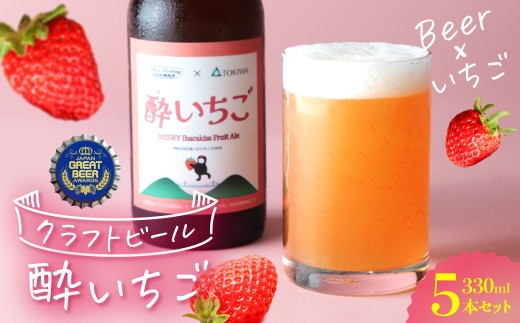 クラフトビール 酔いちご 330ml×5本セット ジャパン・グレートビア・アワーズ2026 銀賞 | いちご ビール beer いばらキッス お土産 ギフト ご褒美 フルーツエール Ale 醸造 常磐大学 茨城県 常陸太田市