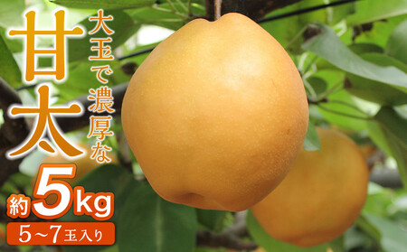 【松崎果樹園】梨「甘太」約5kg（5～7玉入）【旬のフルーツ 果物 旬の梨 新鮮梨】