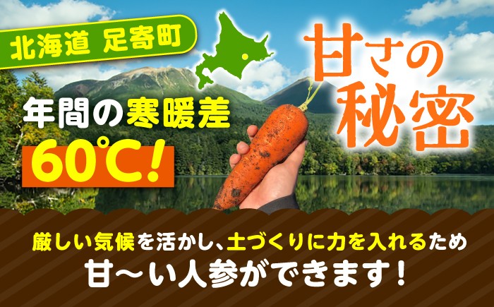 北海道産 甘い 人参 野菜 根菜 ニンジン 糖度高め サラダ 規格外 訳あり 