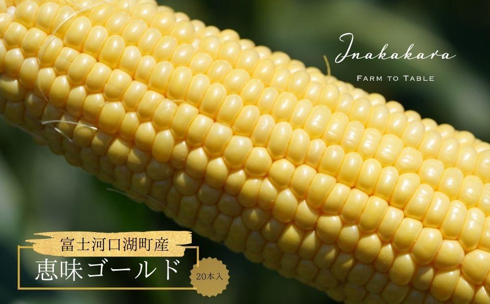 とうもろこし ＜2026年8月発送＞【富士山の麓で育つ】河口湖ブランドとうもろこしInakakara「恵味ゴールド」20本入 野菜 やさい とうもろこし トウモロコシ コーン 先行予約
