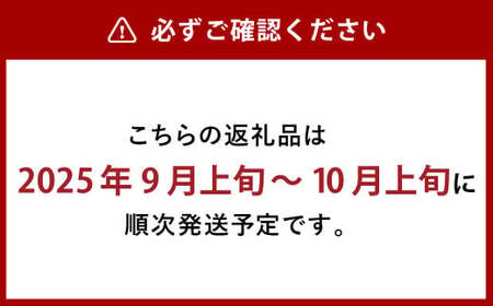 瀬戸ジャイアンツ 2房 （1房480g以上） 合計約1kg 化粧箱入り 【2025年9月上旬～10月上旬まで発送予定】 ／ マスカット 葡萄 ぶどう 果物 果実 フルーツ 皮ごと 岡山県 美咲町 冷蔵