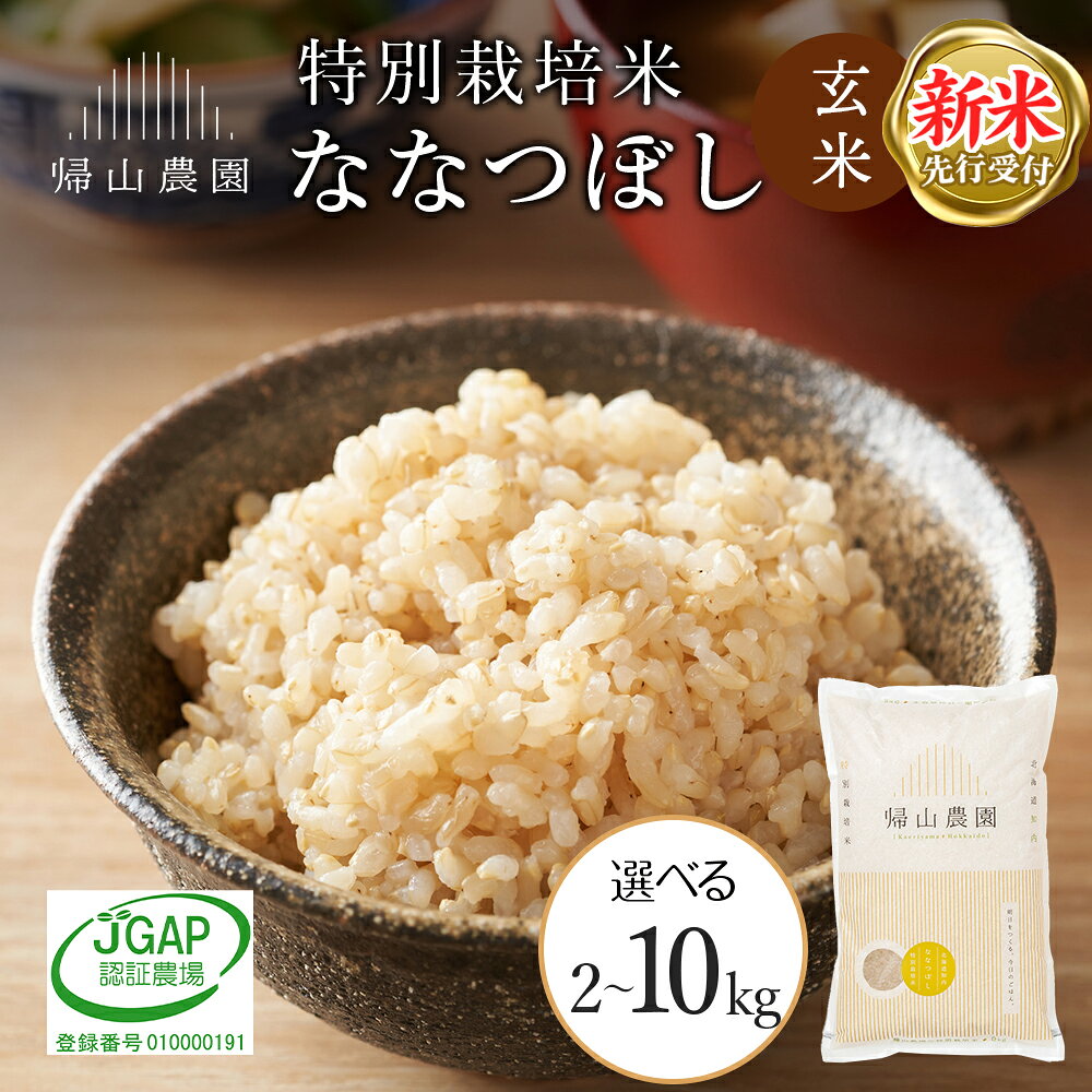 【ふるさと納税】【令和8年産 新米予約】玄米 ななつぼし 選べる2kg〜10kg 特別栽培米産地直送《帰山農園》知内町 ふるさと納税 米 こめ 北海道産お米 北海道米 美味しいお米 北海道産米 道産米 ふるさと納税 秋 旬
