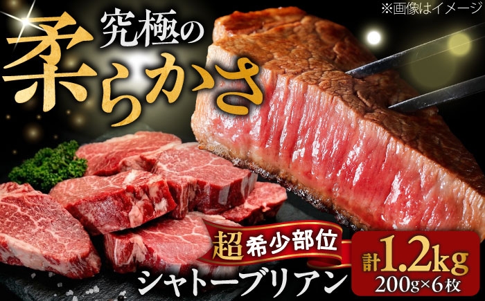 
                  【希少部位！】博多和牛 シャトーブリアン 200g×6枚 （計1.2kg）吉富町/肉のくまもと屋 [BGBY046]
                