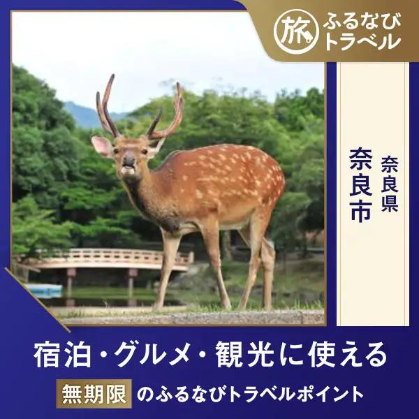 【旅行支援・宿泊無期限】旅行ポイント奈良市ふるなびトラベルポイント