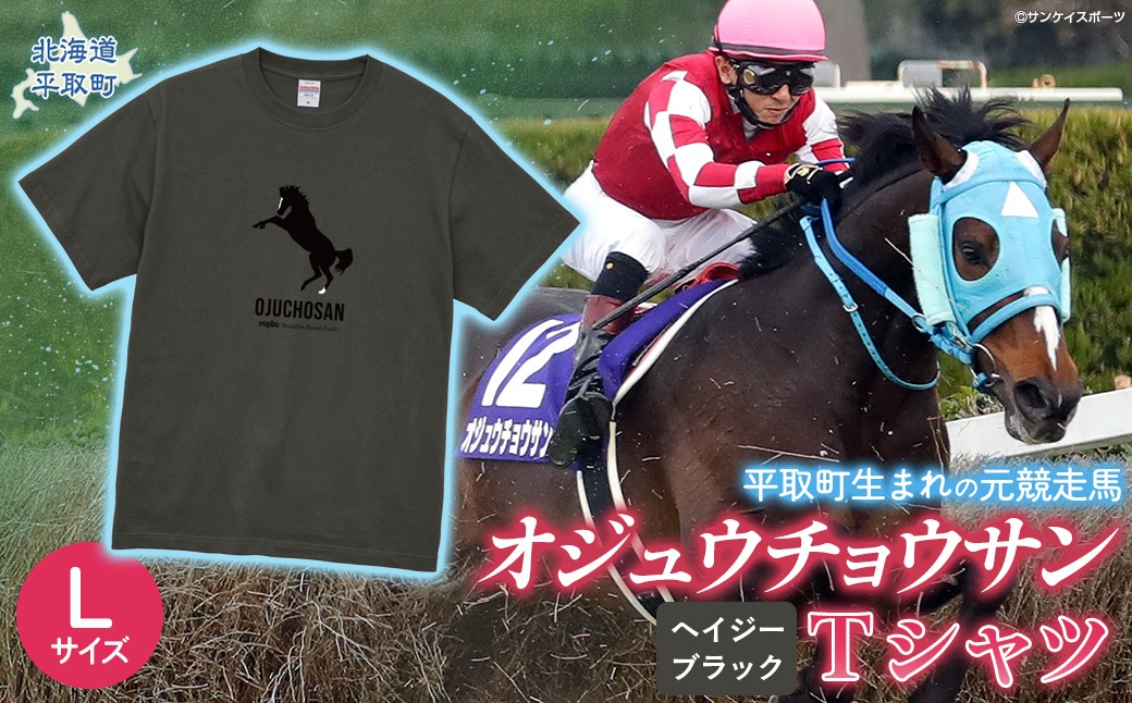 【オジュウチョウサン】Ｔシャツ _Lサイズ（ヘイジーブラック） BRTV004-3