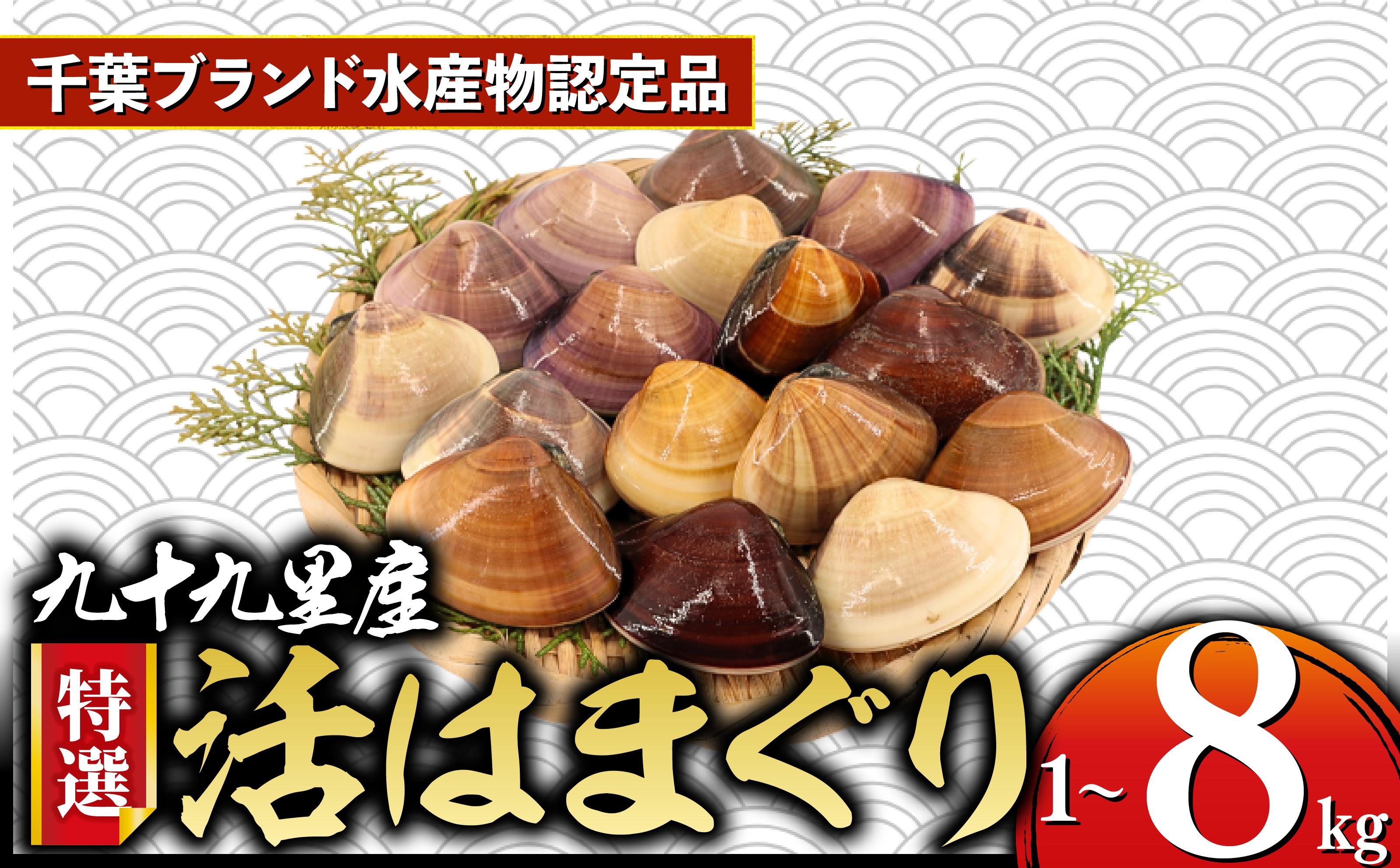 
            九十九里産 活 はまぐり 選べる 約1kg ～ 約8kg ≪千葉ブランド水産物認定品≫ 天然 蛤 ハマグリ 活 冷蔵 千葉県 魚介 海鮮 貝 貝類 海鮮 貝 出汁 だし 味噌汁 酒蒸し 九十九里浜 お祝い 祝い ひなまつり 節句 おせち 贅沢 人気 おすすめ 贈答 ギフト ふるさと納税 千葉 不動丸 旭市 fdm
          