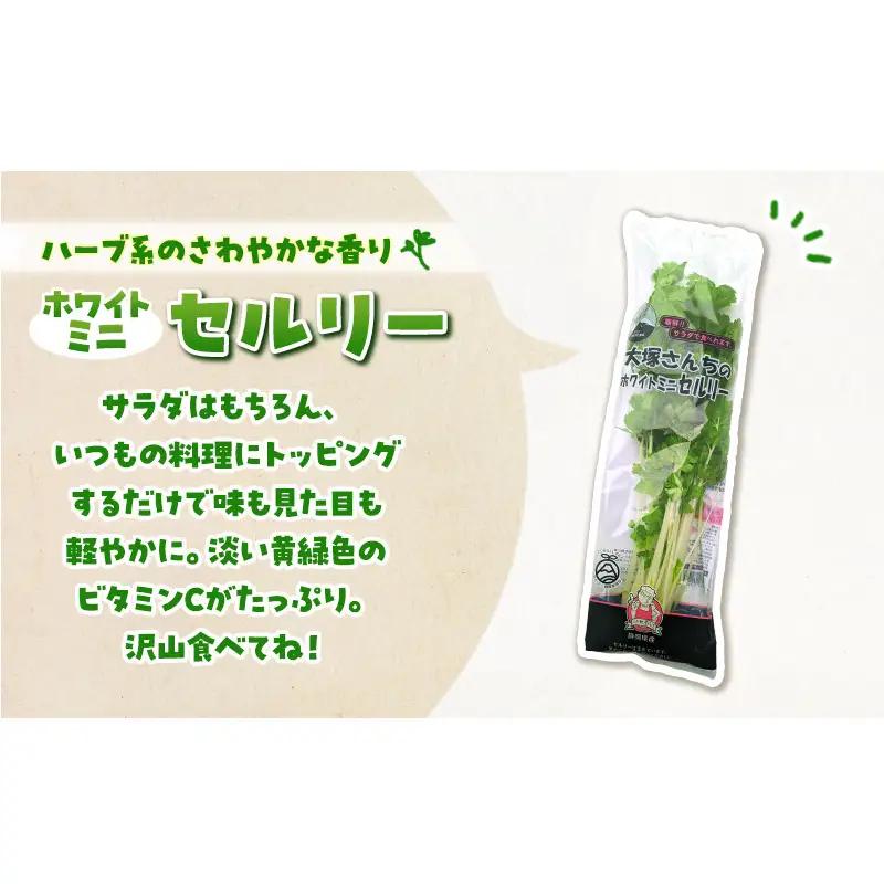 定期便 3回 ホワイトミニセルリー 5袋 ＆ サラダほうれん草 7袋 計36袋 野菜 詰め合わせ 毎月届く 3ヶ月 セロリ ほうれんそう 新鮮 産地直送 野菜セット 詰合せ