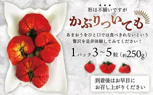 【2027年2月より順次発送】★大玉規格★博多あまおう2パック 約500g[H2224]