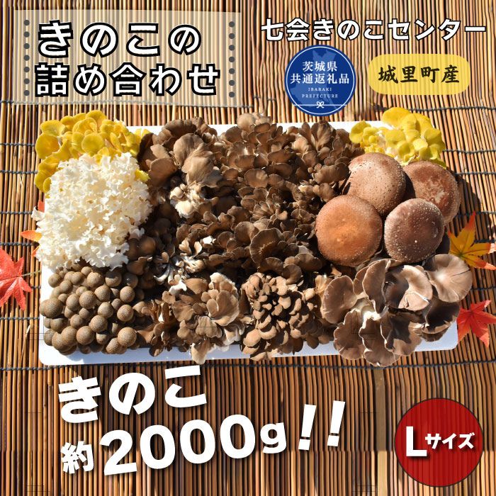 【ふるさと納税】きのこ詰め合わせ　Lサイズ（茨城県共通返礼品／城里町産） / 茨城県 利根町 きのこ キノコ 舞茸 椎茸 あわび茸 たもぎ茸 はなびら茸