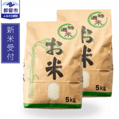 ふるさと納税 都留市 【新米予約】令和8年産　山梨県都留市産　こしひかり[10kg]【先行予約】