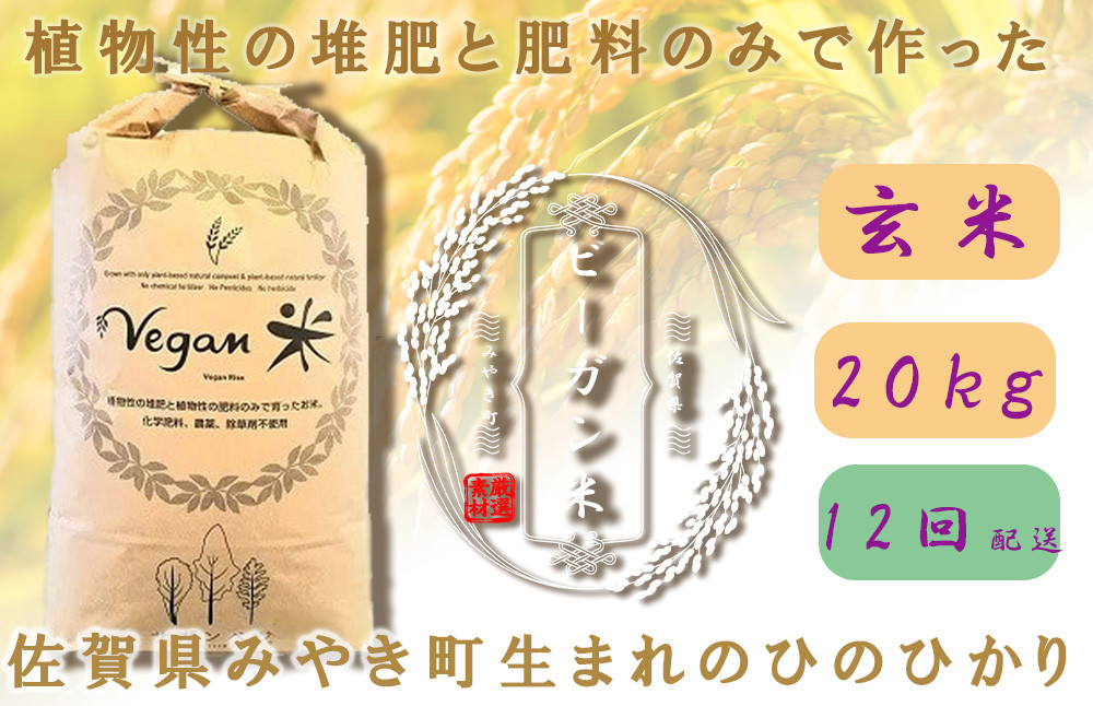 
CQ034 【12か月定期便】ビーガン米20kg　玄米【植物性で育てた完全無農薬のサガンベジブランド】
