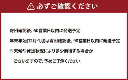  泉州タオル 幅60cm 厚手 ふわふわ バスタオル 2枚入り 800匁 【ホワイト】 