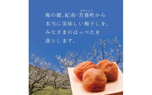 【A級品】紀州南高梅 田舎梅 1kg 塩分10％ / 梅干し 梅干 うめぼし 南高梅 国産 梅 うめ ウメ 完熟 健康 ご飯のお供 昔ながら 贈り物 ギフト プレゼント お取り寄せ せんのうめ 和歌山