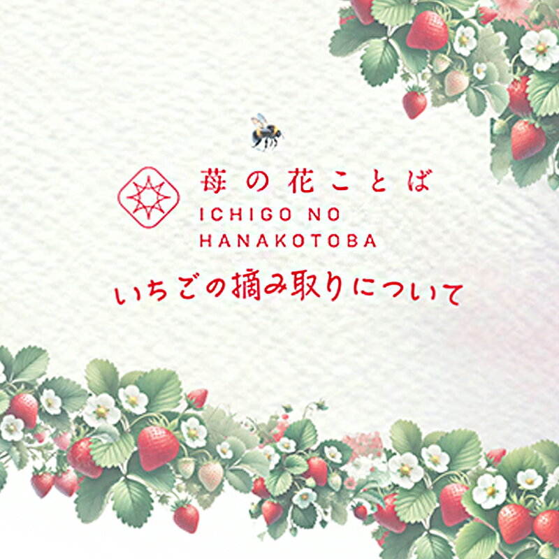 【ふるさと納税】いちご摘み取り3kgまで体験券　お土産付き いちご イチゴ 苺 加工品 お取り寄せ 新潟　お届け：2025年2月上旬～5月末まで