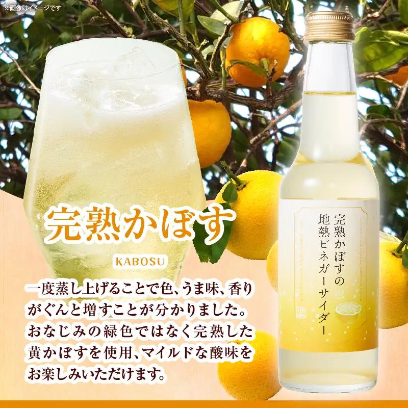 地熱ビネガーサイダーセット(3本)_B009-015