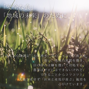 【令和7年度米】八ヶ岳の余韻特別栽培米コシヒカリ　5kg×1袋　八ヶ岳南麓 小淵沢 山梨県 北杜市 [h183]