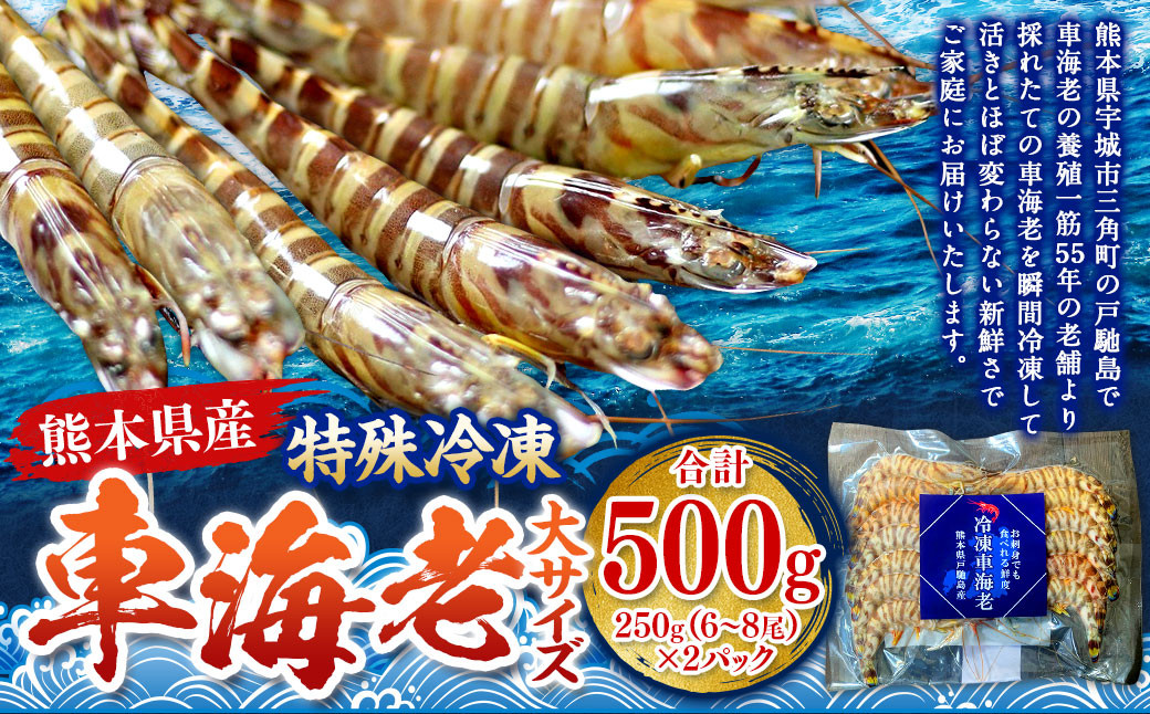 
            特殊冷凍 車海老 （大サイズ） 約500g（12～16尾）2パック エビ 海老 えび クルマエビ 車エビ 養殖 瞬間冷凍
          