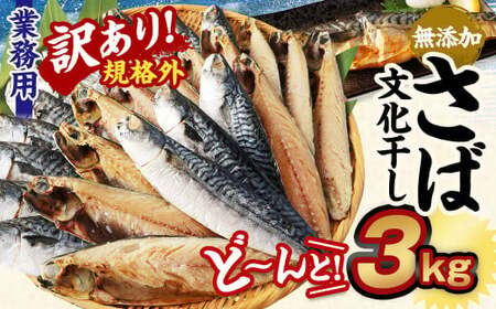 【訳あり規格外】  業務用 無添加 さば文化干し どーんと! 3kg 鯖 さば 干物 魚