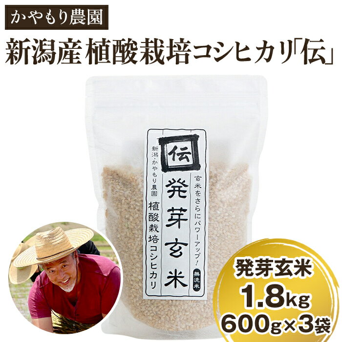 【ふるさと納税】令和6年産 [発芽玄米] 新潟産コシヒカリ「伝」発芽玄米1.8kg（600g×3個）かやもり農園