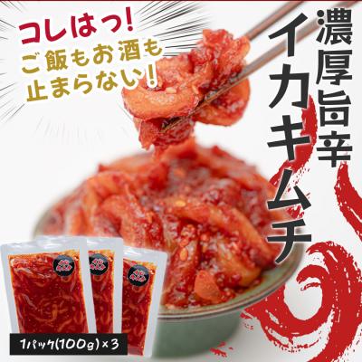 ふるさと納税 大月町 濃厚旨辛 イカキムチ 100g×3パック 海鮮キムチ ご飯のお供 おつまみ 冷凍キムチ  旨辛 珍味