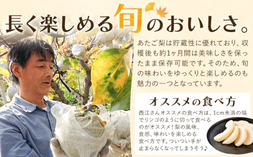 梨 あたご梨 約4kg 5玉入り カプセル西江果樹園《12月上旬-12月中旬頃出荷》岡山県 笠岡市 送料無料 なし 梨 ナシ 愛宕梨 果物 大玉 岡山県産 国産 フルーツ お取り寄せフルーツ
