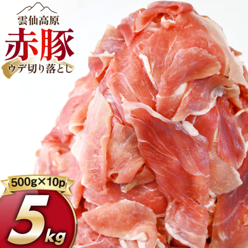 雲仙高原 赤豚 国産 豚ウデ 切り落とし 5kg 500g×10p [長崎県農産品流通 長崎県 雲仙市 item2269 ] 豚肉 肉 切落し