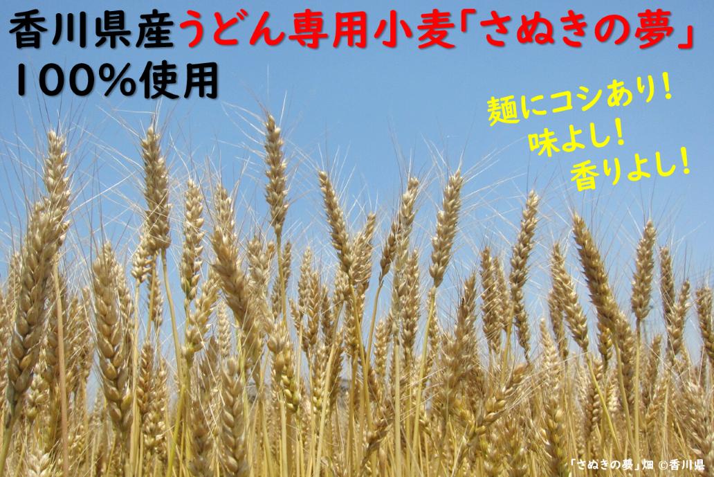 麺棒/　讃岐うどん　半生　20食セット