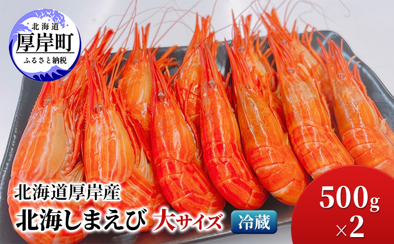 北海道 厚岸産 北海しまえび 大サイズ 500g×2 冷蔵 海老 エビ