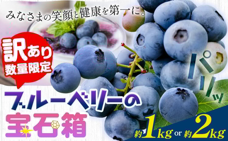 
                  【2026年先行予約】【訳あり数量限定】ブルーベリー 選べる内容量 1kg 2kg ブルーベリーの宝石箱 かさおか青空ファーム 先行予約《2026年6月上旬-8月下旬頃出荷》 岡山県 笠岡市 送料無料 フルーツ 果物 岡山県産 国産 ブルーベリー お取り寄せ st-p
                