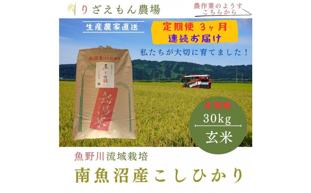 
            【令和7年産新米予約受付】【定期便3回×玄米３０kg《合計９０kg》】南魚沼産コシヒカリ　玄米 ３０kg　＼生産農家直送／【2025年10月上旬より順次発送予定】
          