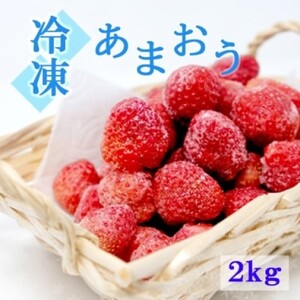 あまおう 白木のいちご 冷凍 あまおう【2kg(500g×4P)】【冷凍】