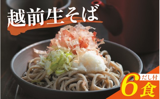 越前生そば 6食入（110g/1食）だし付 [A-067001]  / 越前そば 越前蕎麦 生蕎麦 なまそば 生そば そば 蕎麦 ソバ 冷蔵 蕎麦 そば ソバ 年越し蕎麦 年越し 蕎麦 そば ソバ 年越しそば 蕎麦 そば ソバ 麺 蕎麦 そば ソバ