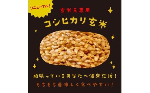 こしひかり 玄米ごはんパック 120g 24個 玄米 米 お米 ごはん ご飯 こめ パックライス パックご飯 パックごはん ご飯パック ごはんパック パック ライス 備蓄 保存 非常 防災 電子 レン