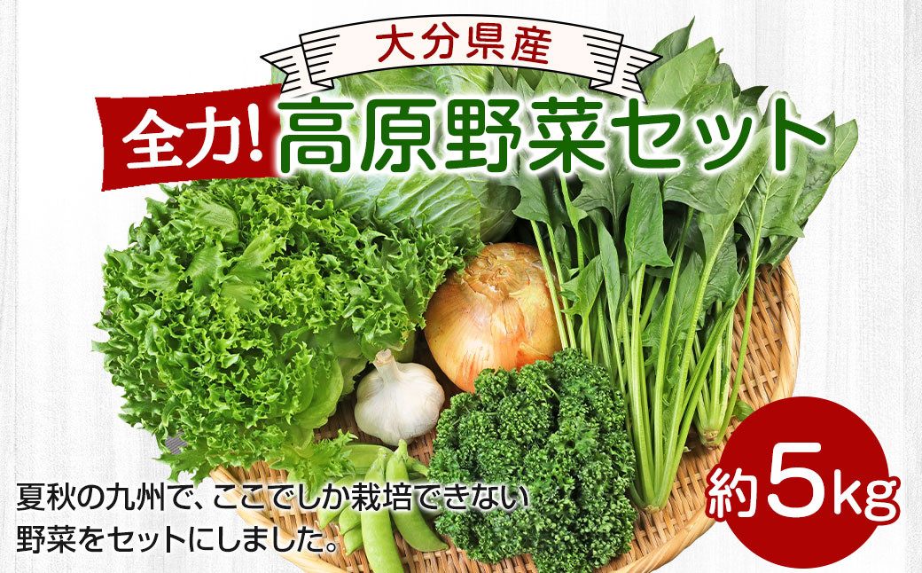 
大分県産 全力！ 高原野菜 セット 約5kg (5～8品程度)
