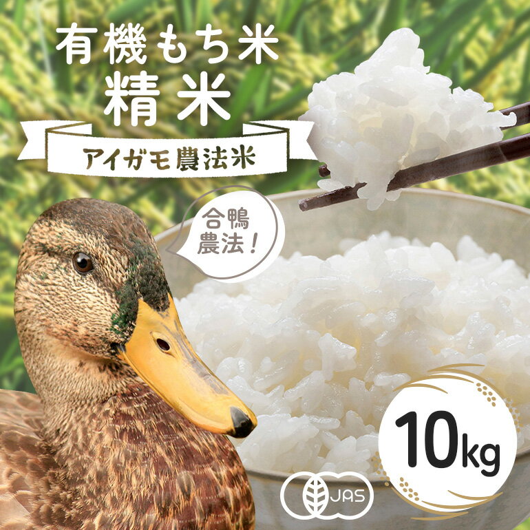 【ふるさと納税】 【令和7年産】有機もち米 精米10kg お米 米 白米 もち米 ご飯 ごはん 国産米 産地直送 茨城県 石岡市 B03-006