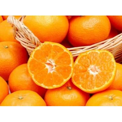 ふるさと納税 八幡浜市 愛媛県産富士柿大玉(5玉〜7玉)と愛媛みかん(早生)5kg詰め合わせセット【D35-5】 |  | 02