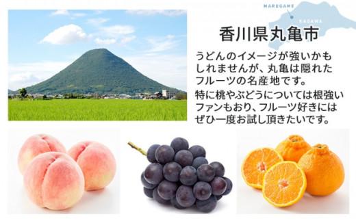 フルーツ 定期便 6ヶ月 丸亀市のいいとこどり定期便 セット 詰め合わせ 桃 ニューピオーネ シャインマスカット みかん いちご デコポン さぬきひめ せとか 果物 6回 半年 デザート フルーツ定期