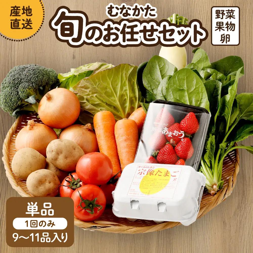 むなかた旬のお任せセット（野菜・フルーツ・卵） 9～11品【JAほたるの里】_AS1712-00