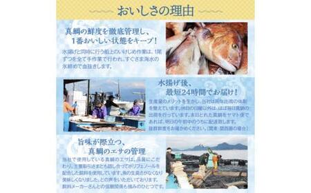 【期間限定】 真鯛 煮付け 切り身 5切れ マダイ 鯛 国産 沼津産 湯煎 簡単調理 お手軽 個包装 冷凍 