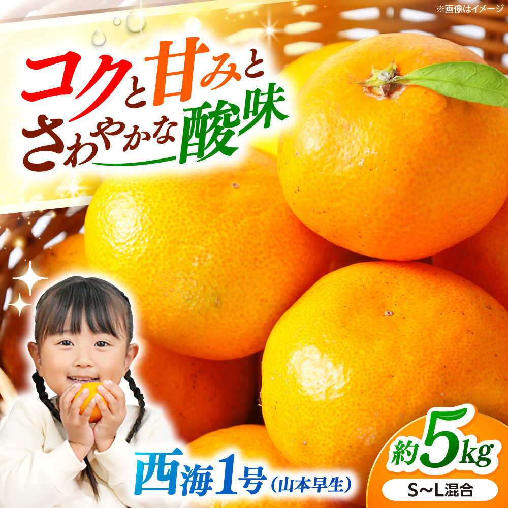 【ふるさと納税】【11月上旬より発送予定】みかんドーム特選 西海1号（山本早生）約5kg＜道の駅さいかい みかんドーム＞[CAI038] 長崎 西海 みかん 蜜柑 ミカン 柑橘 温州みかん 果物 高糖度 フルーツ 贈答 ギフト