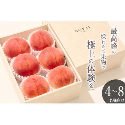 ふるさと納税 甲州市 【発送月固定定期便】『2026年先行受付』甲州市自慢の大玉桃と大粒シャインマスカット 全2回 |  | 01