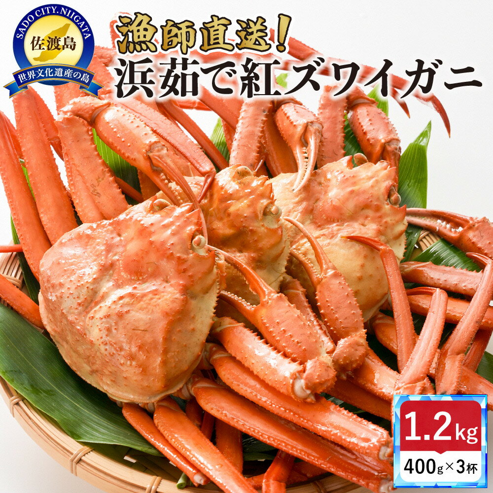 【ふるさと納税】佐渡島直送！浜茹で紅ズワイガニ（1杯400g/3杯） | 蟹 魚介類 水産 食品 人気 おすすめ 送料無料