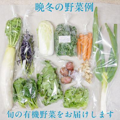 ふるさと納税 掛川市 【毎月定期便】しあわせ野菜畑の有機野菜　Mセット　(安心の有機JAS認証　オーガニック野菜)全12回 |  | 03