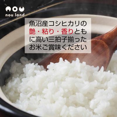ふるさと納税 十日町市 【令和7年産 予約】 農家直送 魚沼産 コシヒカリ 5kg ×2袋 新潟県 十日町市 のうランド |  | 03
