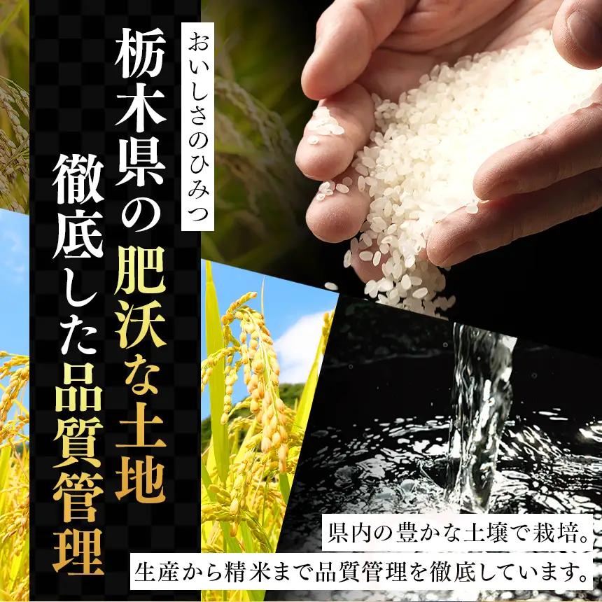 栃木県産 お米 白米 ブレンド米 10kg | 栃木県 矢板市　栃木県共通返礼品
