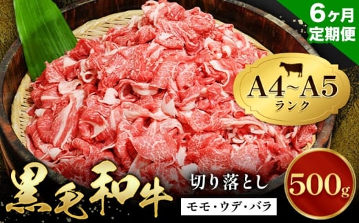 【6ヶ月定期便】牛肉 黒毛和牛 切り落とし 小分け 500g A4 A5 田中畜産 《お申込み月の翌月から出荷》 熊本県 苓北町 ミシュラン ビブグルマン 国産 肉 黒毛 和牛 赤身 カレー 肉じゃが 牛丼 煮込み 便利 使い勝手抜群 天草 産地直送