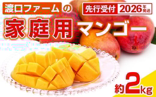 
            【先行受付】【2026年発送】渡口ファームの家庭用マンゴー約2kg - 先行予約 沖縄県産 産地直送 南国フルーツ 旬の味覚 季節の果物 ご自宅用 沖縄マンゴー 沖縄県 八重瀬町
          