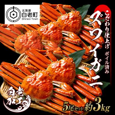 ふるさと納税 白老町 訳あり　ズワイガニ 姿 ボイル済み 冷凍 5尾セット 約3kg BM031