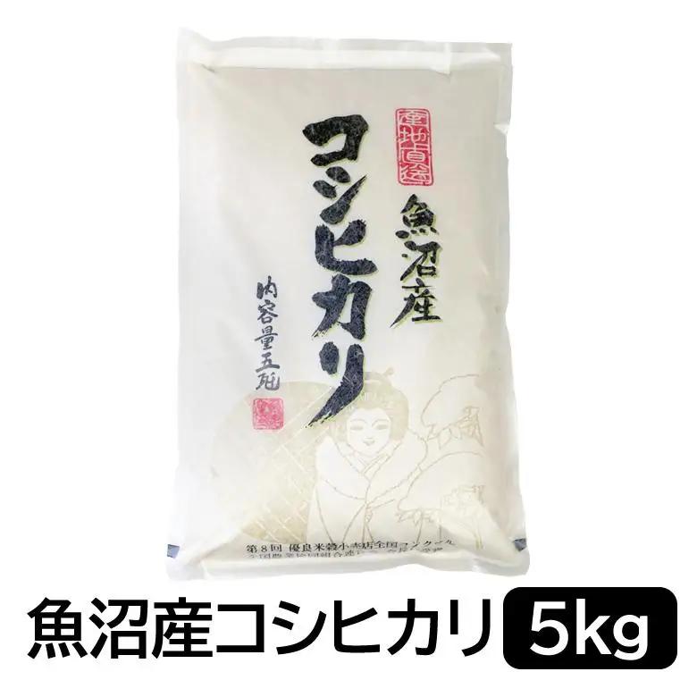 【令和7年産】お米マイスター厳選！魚沼産コシヒカリ5kg 新潟県 精米 白米
