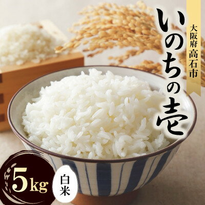 【ふるさと納税】【令和7年度産】いのちの壱5kg(白米)　希少品種をお届けします。【1641931】